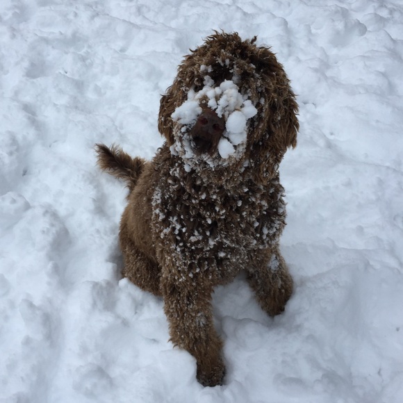 Meet your Posher, Janet - Picture 4 of 4